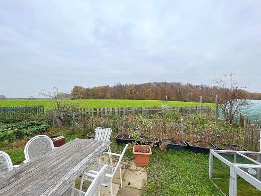 Direkt an den Feldern mit Blick zum Wald.jpg