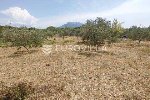 Sestanovac Bauernhöfe, Landwirtschaft, Sestanovac Forstwirtschaft