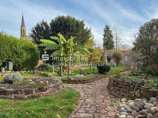 Blick in den eigenen Garten