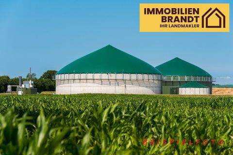 Selsingen Bauernhöfe, Landwirtschaft, Selsingen Forstwirtschaft