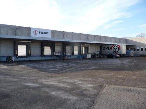 Celle Halle, Celle Hallenfläche