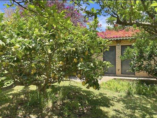 WhatsApp Image 2025-05-01 at 12.21.57 (1).jpeg