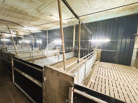 469.Betrieb.Innen.Stall (6)