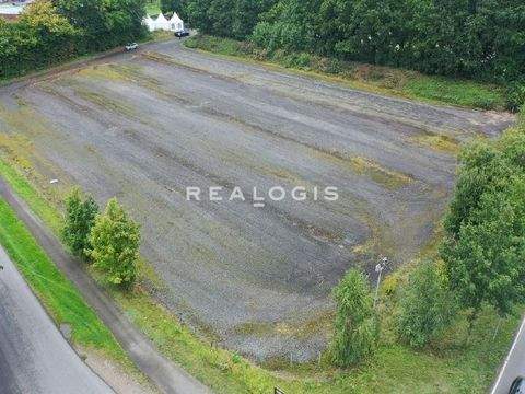 Trittau Halle, Trittau Hallenfläche