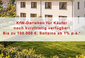 DHH Pfaff KfW.png