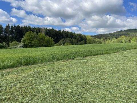 Pleystein / Miesbrunn Bauernhöfe, Landwirtschaft, Pleystein / Miesbrunn Forstwirtschaft