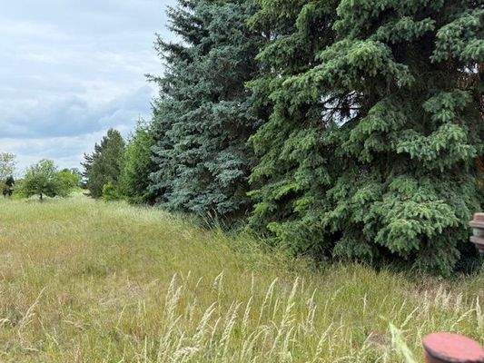 Grundstückansicht (4).jpg