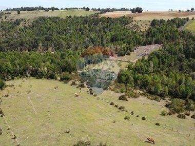 Los Muermos Büros, Büroräume, Büroflächen 