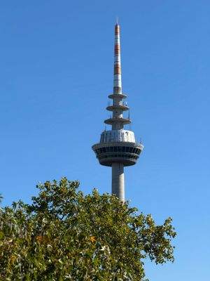 Blick Fernsehturm