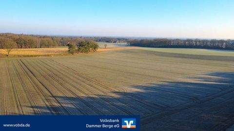 Damme Bauernhöfe, Landwirtschaft, Damme Forstwirtschaft