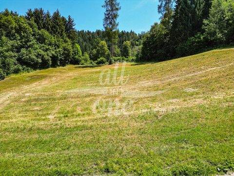 Moosburg / Ameisbichl Grundstücke, Moosburg / Ameisbichl Grundstück kaufen