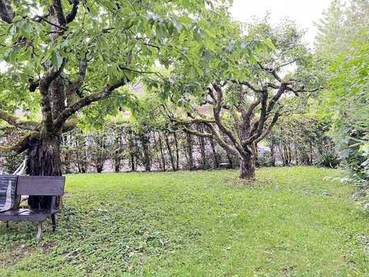 großes Grundstück in ruhiger Lage