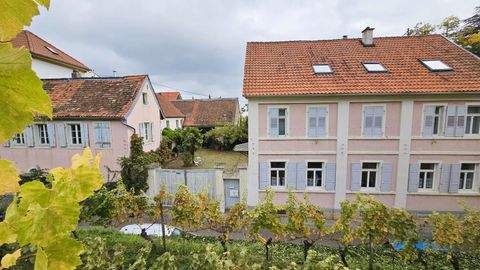 Neustadt an der Weinstraße Häuser, Neustadt an der Weinstraße Haus kaufen