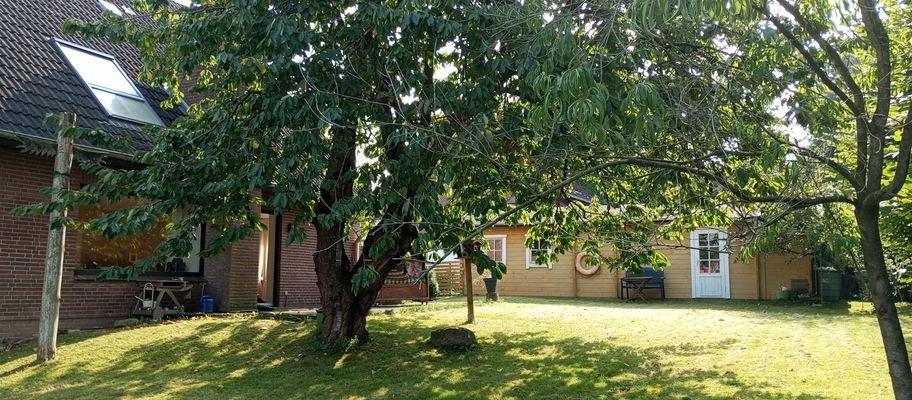 8947PE-07 Sommerbild
