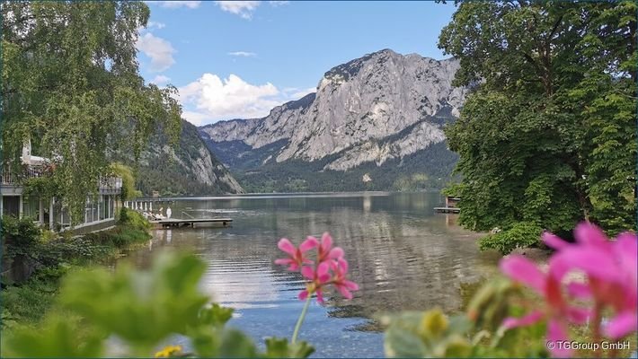 Ausseerland-Altaussee-Altausseer-See-Altausseersee-Blüten-Trisselwand-Seerundweg-Foto-Theresa-Schwaiger