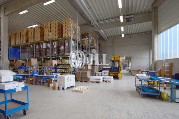 Innenansicht der Hallenfläche