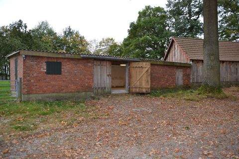 Buchholz Halle, Buchholz Hallenfläche