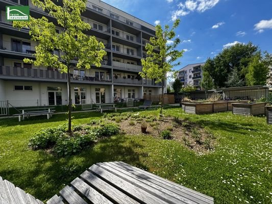 Bild 19