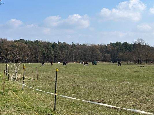 Umgebung Pferdekoppeln