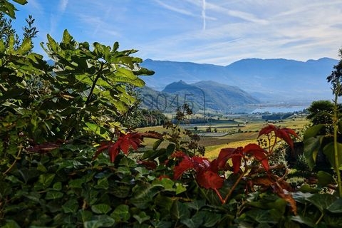 Kaltern Häuser, Kaltern Haus mieten 