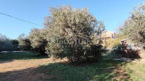 Tribunj Grundstücke, Tribunj Grundstück kaufen