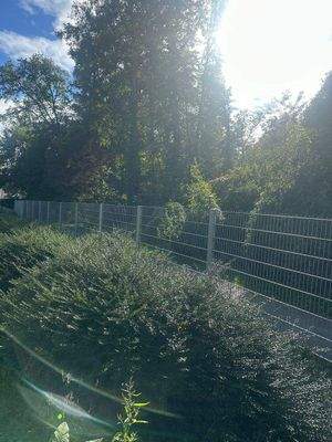 Garten mit Metallzaun