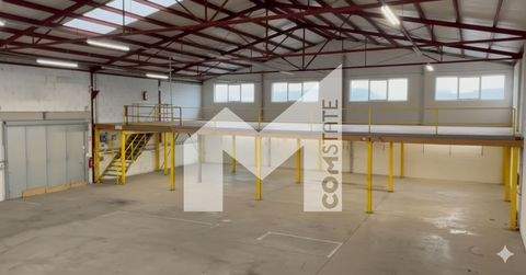 Wermelskirchen Halle, Wermelskirchen Hallenfläche