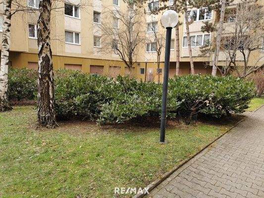 gepflegte Gartenanlage mit schonen Rhododendren