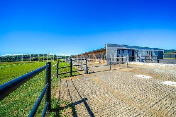 Lehner Immobilien Bild 73