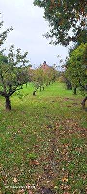 Blick vom Grundstücksende