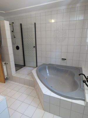 Eckbadewanne und Dusche im Bad 