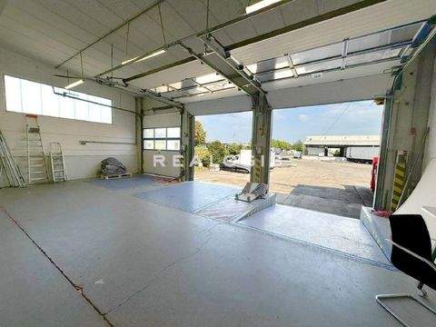 Karlsfeld Halle, Karlsfeld Hallenfläche