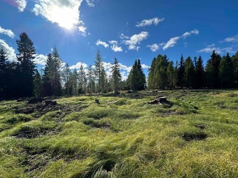 Albeck/Hochrindl Grundstücke, Albeck/Hochrindl Grundstück kaufen