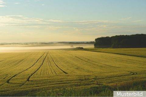 Tecklenburg Bauernhöfe, Landwirtschaft, Tecklenburg Forstwirtschaft