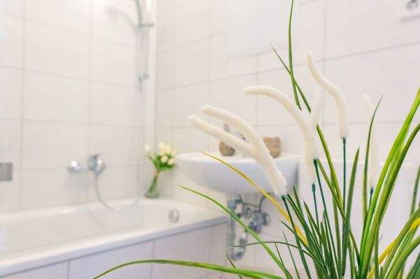 Bad Vergleichswohnung