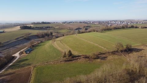 Rammingen Bauernhöfe, Landwirtschaft, Rammingen Forstwirtschaft