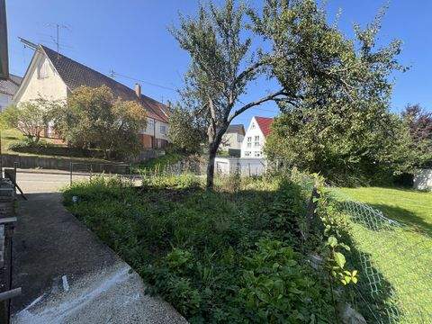 Wehingen Häuser, Wehingen Haus kaufen