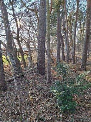 Blick auf das Wohngrundstück