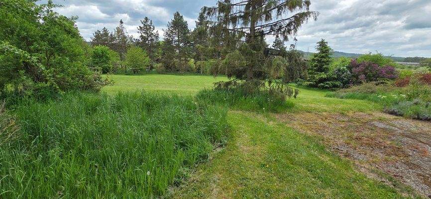 Große Gartenfläche