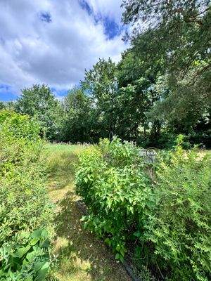 2024-06-23 12.30.27.jpg