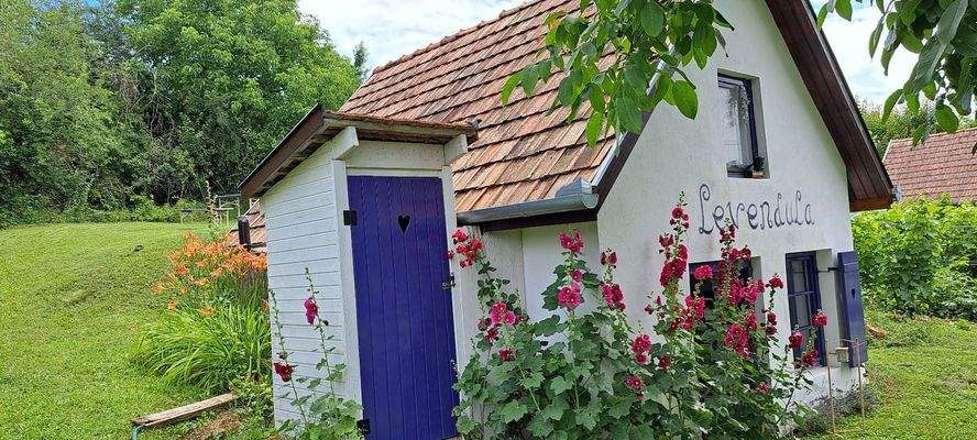 WhatsApp Image 2025-10-22 at 14.15.52 (1).jpeg