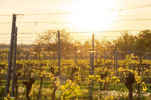 Kopie souboru DSC02111.jpg