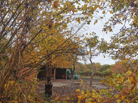 Am Ende des Paddock befindet sich auch ein Unterstand