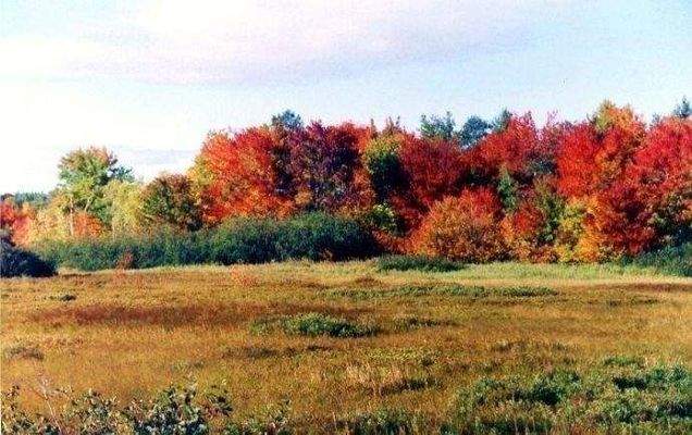 Impressionen Indian Summer