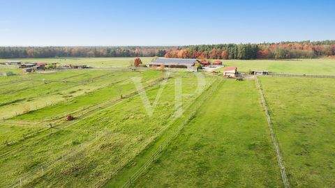 Reichertshofen / Au am Aign Bauernhöfe, Landwirtschaft, Reichertshofen / Au am Aign Forstwirtschaft