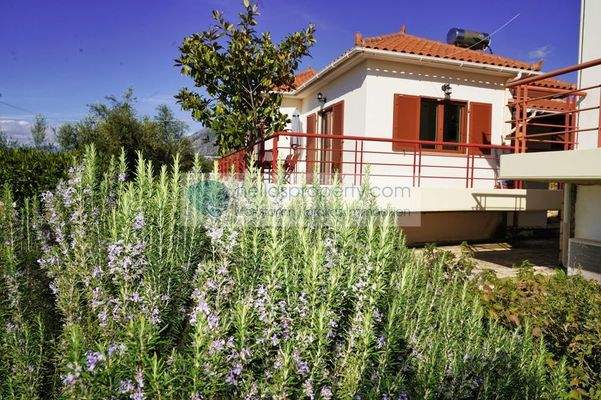 893c7144620e4fe3931db11f8e9ea26e-original