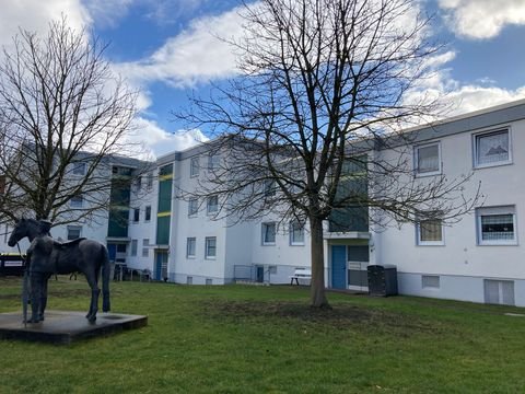 Rotenburg a. d. Fulda Wohnungen, Rotenburg a. d. Fulda Wohnung mieten