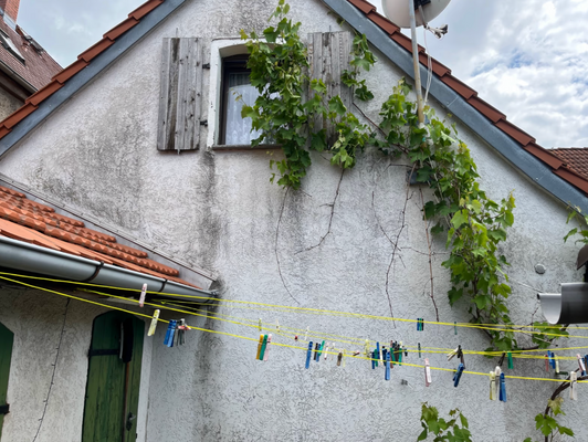 Bildschirmfoto 2024-12-16 um 09.56.29.png