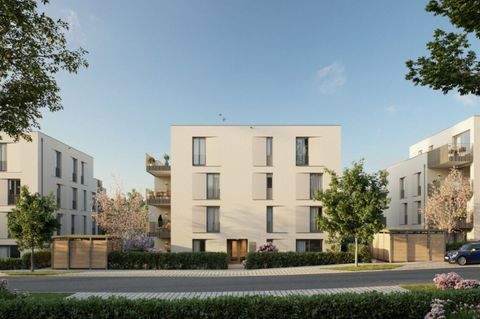 Ditzingen Wohnungen, Ditzingen Wohnung kaufen