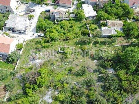 Dubrovnik Bauernhöfe, Landwirtschaft, Dubrovnik Forstwirtschaft